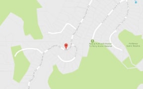 Google map of Maungaraki Road, Lower Hutt.