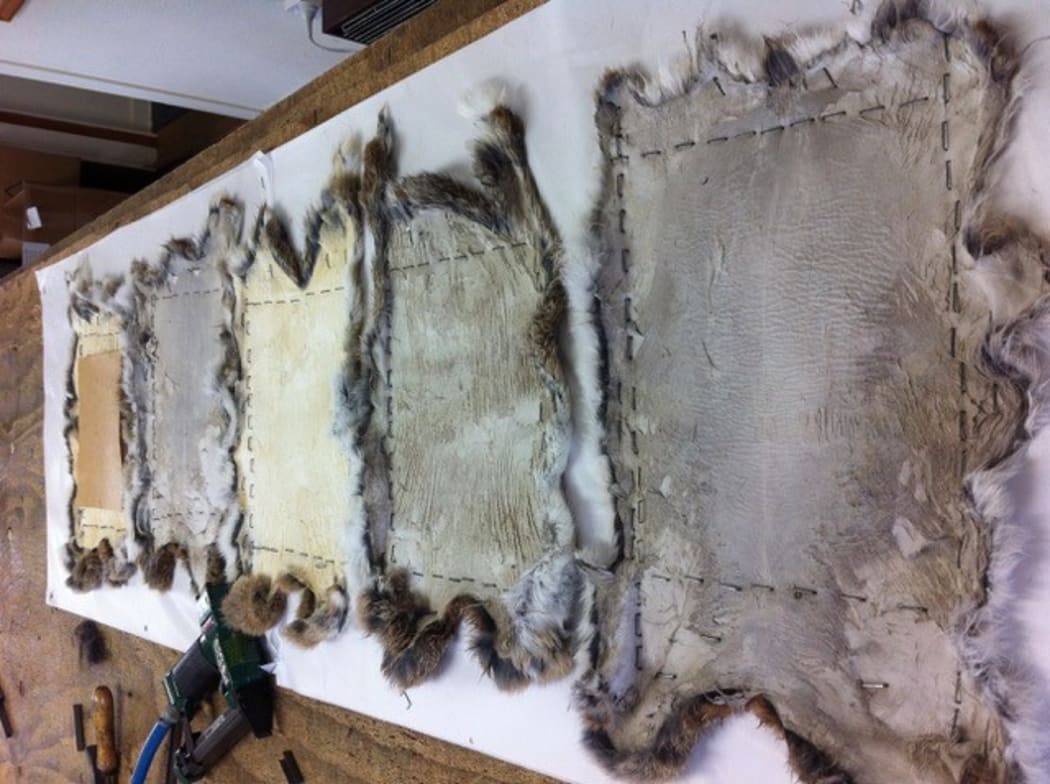 Jane Avery says rabbit pelts are a bi-product of the pet food industry