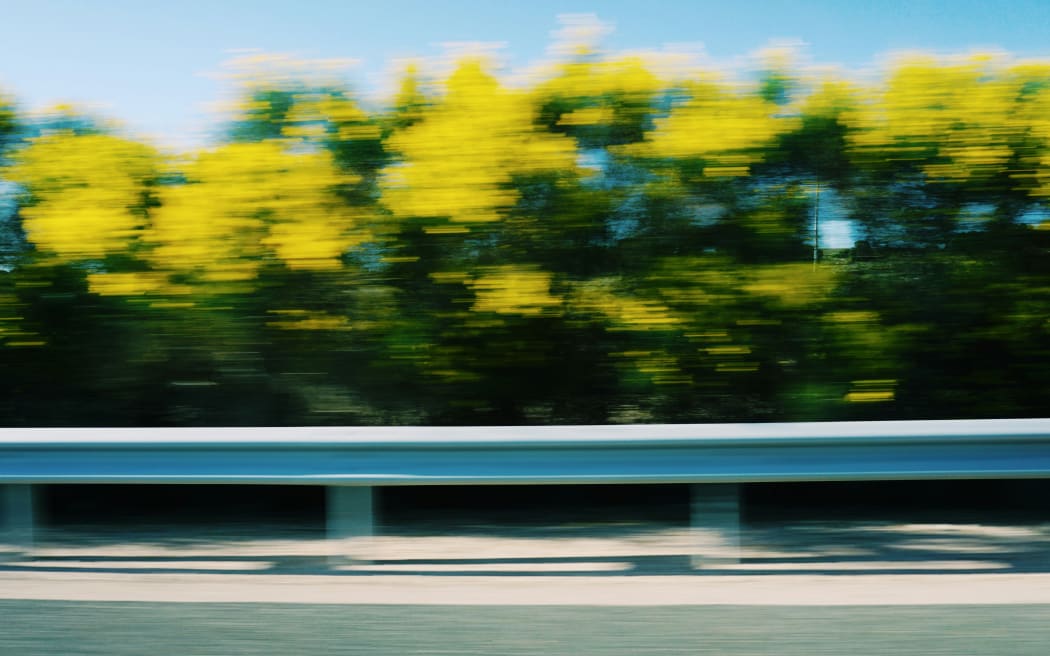 A blurred view from a car travelling on a road with trees.