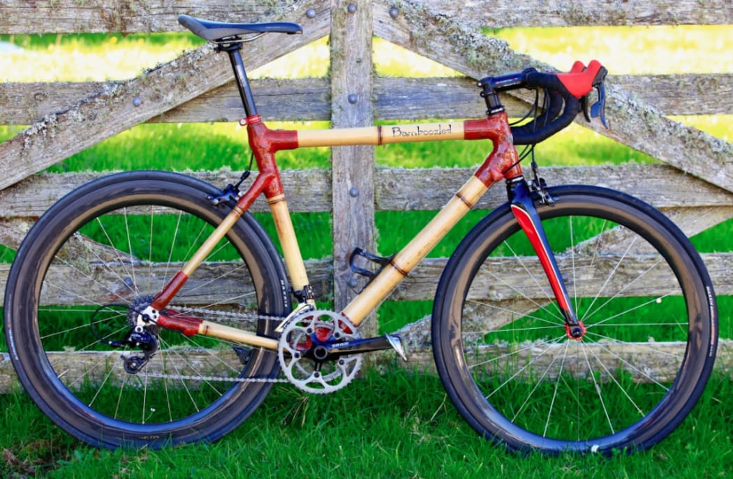 Bamboo bike