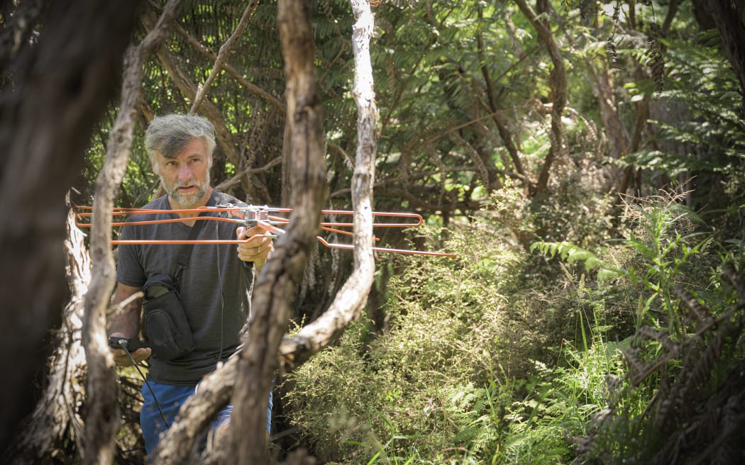 A bearded man standing in forest holding a radio antenna.