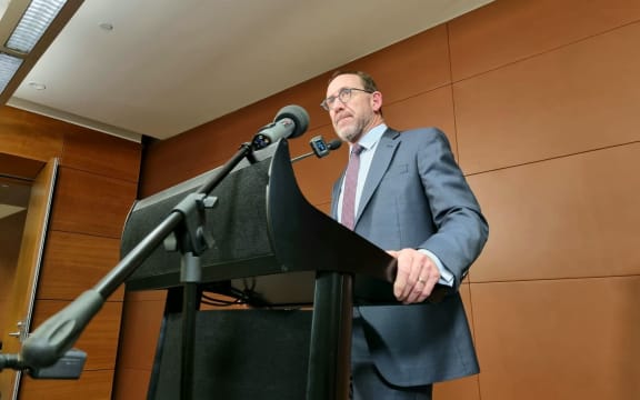 Health Minister Andrew Little speaks to media at Parliament.