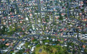 An aerial view of an Auckland suburb showing many blocks of housing.