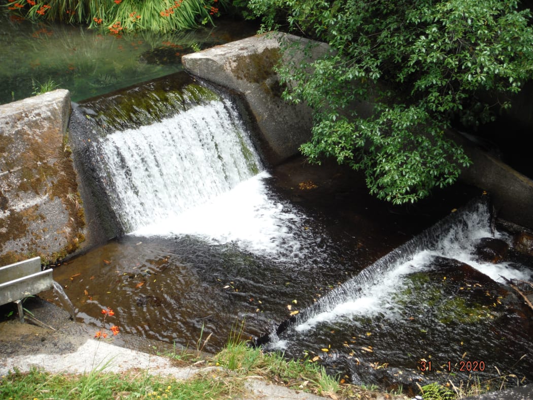 Tautau stream in Tauranga supplies 50 percent of the city’s water. Pictured in January 2020.