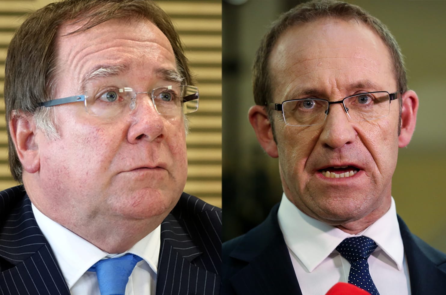 Andrew Little and Murray McCully