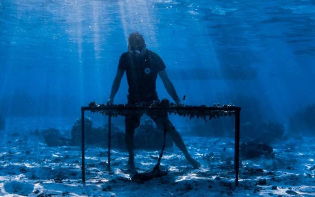 A Moorea Coral Gardener tends to one of their coral nurseries.
