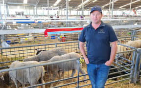 Canterbury A&P Show Country Life