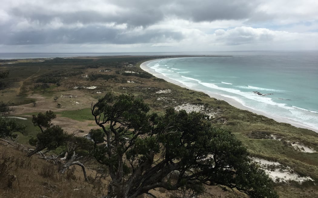 View of Tupuangi, situated along the point, looking from Maunganui where survivors ran to safety