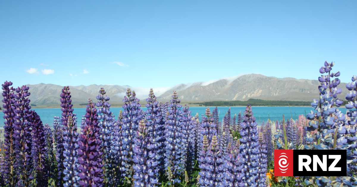 Hymns on Sunday, 1 February 2026