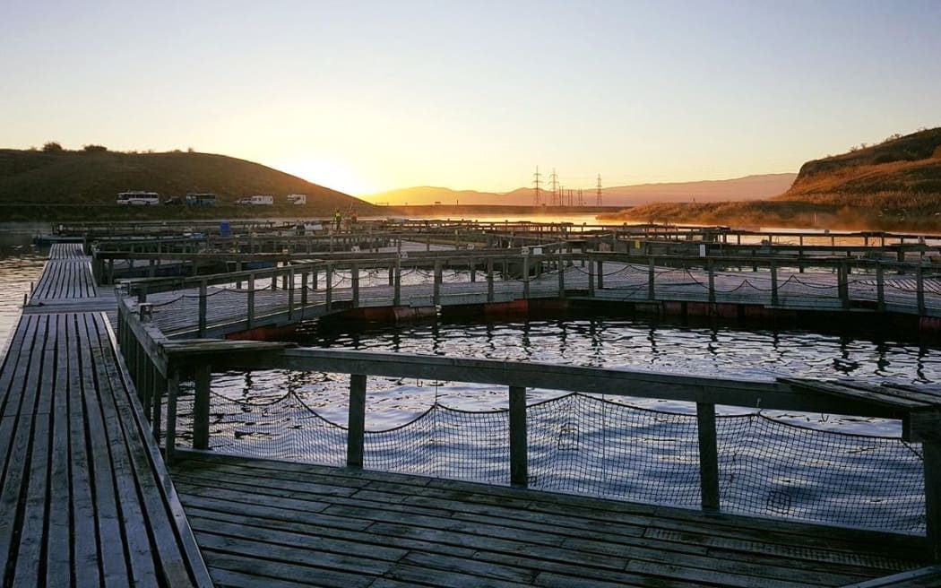 The High Country Salmon farm