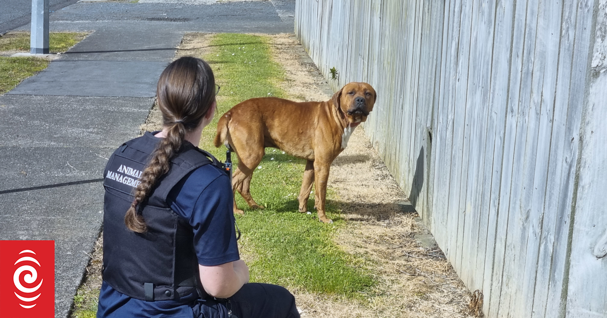 'Calling for change for almost a year'; Hopes government will act after dog killing