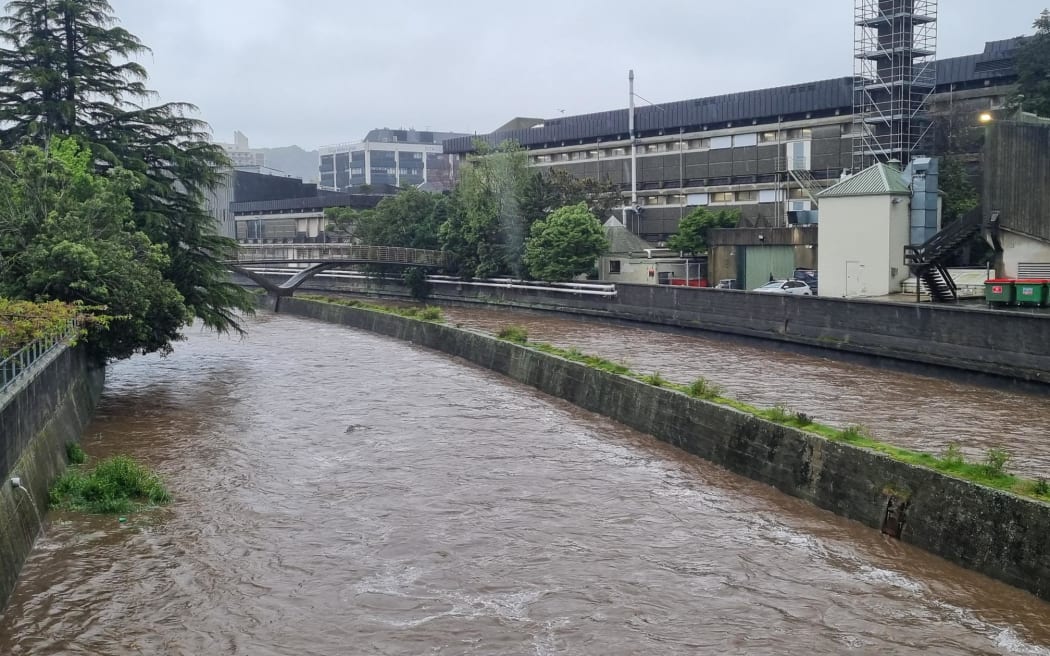 Water of Leith near Forsyth Barr Stadium in Dunedin.