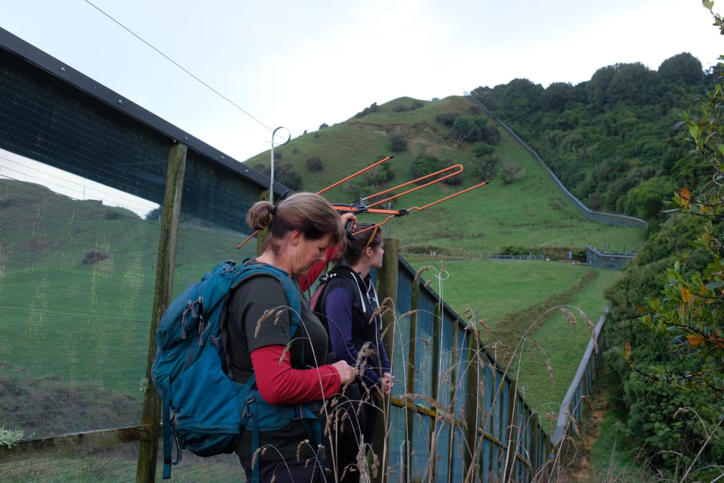 TKT Trustee Sue Hardwick-Smith scopes for a kiwi at Rotokare's fence.