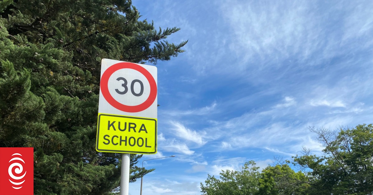 Building delays in turtle town: Ashburton council's year in review - Vimarsana News