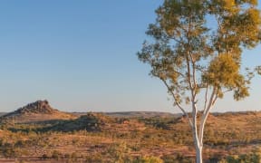 A light aircraft has crashed near the Eloise Copper Mine, 70 kilometres south of Cloncurry.