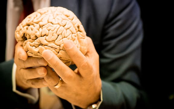 Sir Richard Faull holds a plastinated human brain.