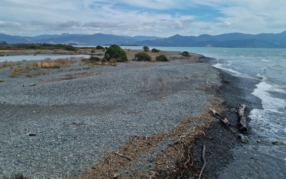 Looking north across the Wairau Bar.