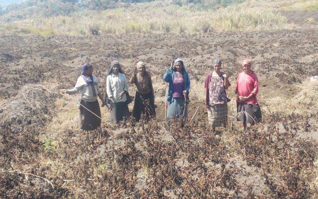 Frost damage in Kaugul Valley, Western Highlands province, Papua New Guinea.