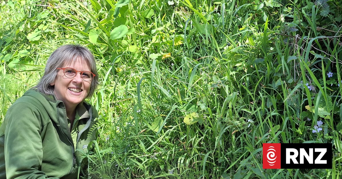 Tooling up to stop the next 'massive weed' before it gets started