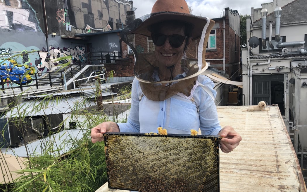 Sharon Brettkelly gets a close up look at an urban bee hive.