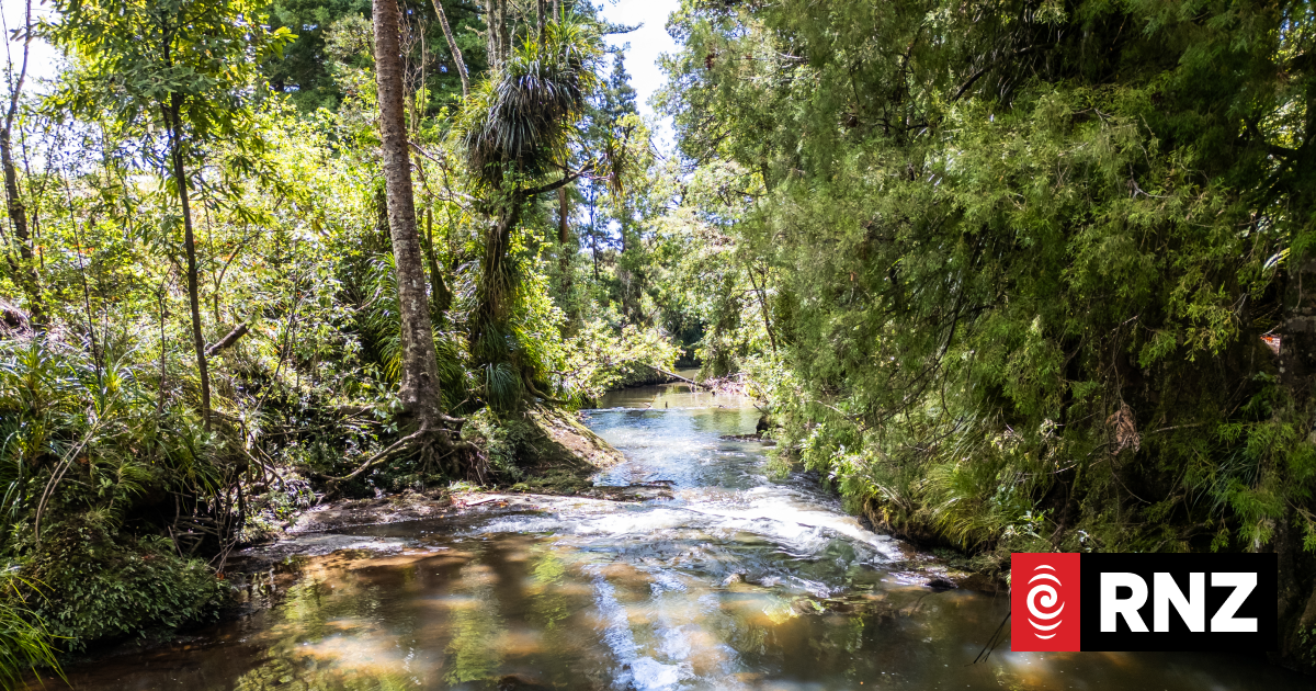 Family found body of Tekanimaeu Arobati, man swept away by Mahurangi River
