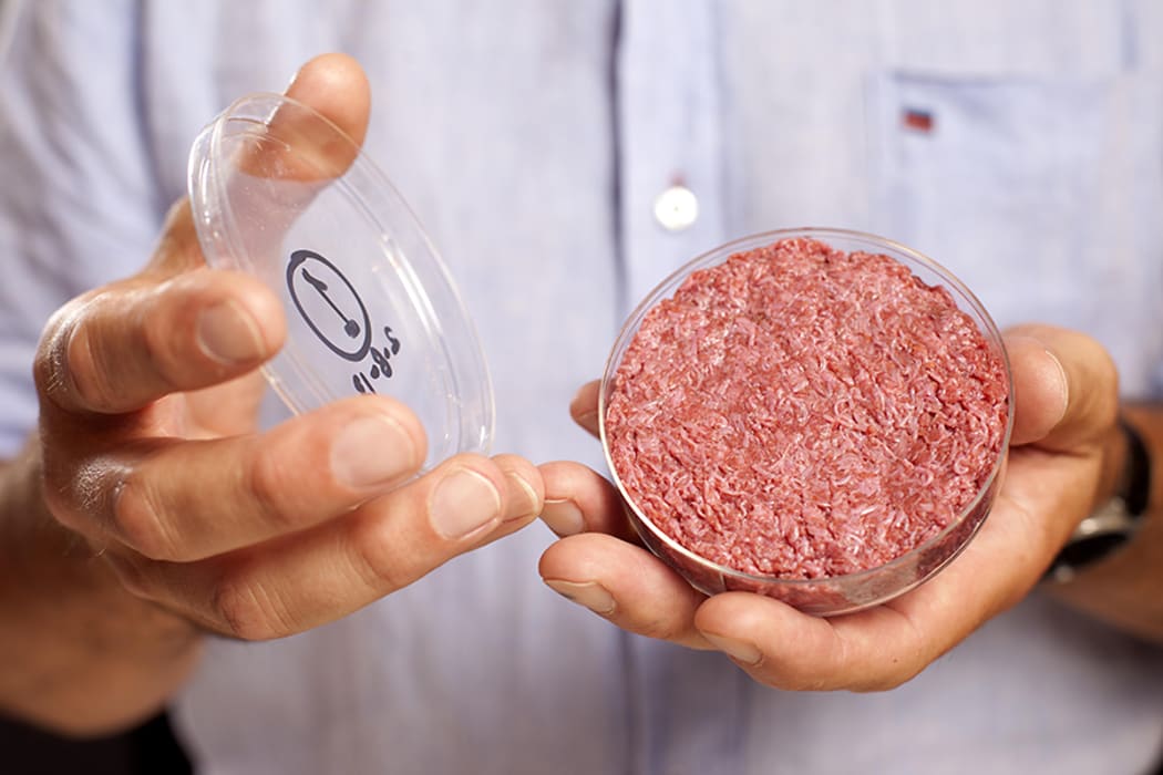 In-vitro, or "cultured", meat