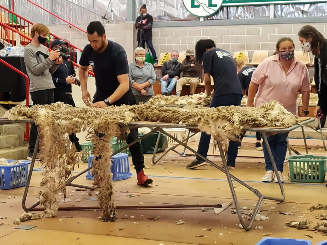Woolhandling championship