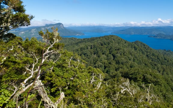 Te Urewera's Lake Waikaremoana.