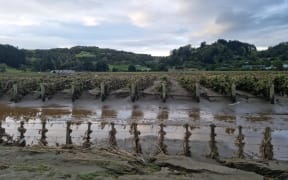 Mud and silt left behind at an Esk Valley property in Hawke's Bay on 17 February 2023 after Cyclone Gabrielle passed through.