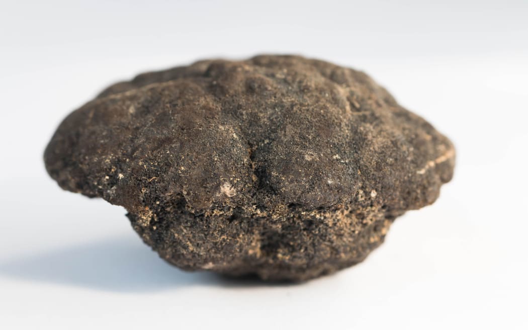 Polymetallic nodules from 5000m depth of Pacific ocean