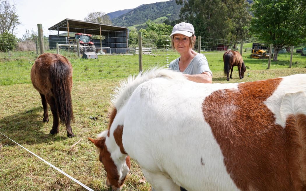 Helen Ngawha, who looks after the ponies