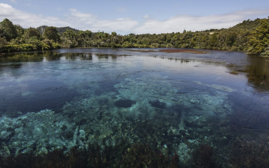 Te Waikoropupu , Golden Bay