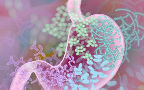 Beneficial Gut Bacteria