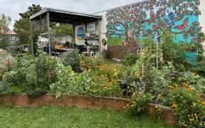 A building with a huge colourful mural of a tree and creatures painted on its wall, next to a verandah covering an array of tables and work benches. In the foreground, there is a veggie and flower garden bed bursting with life.
