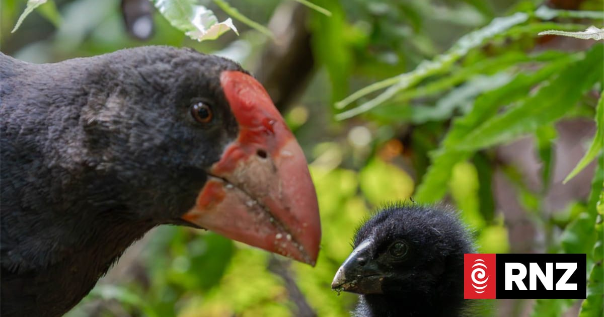 Wildlife sanctuaries well prepared for bird flu