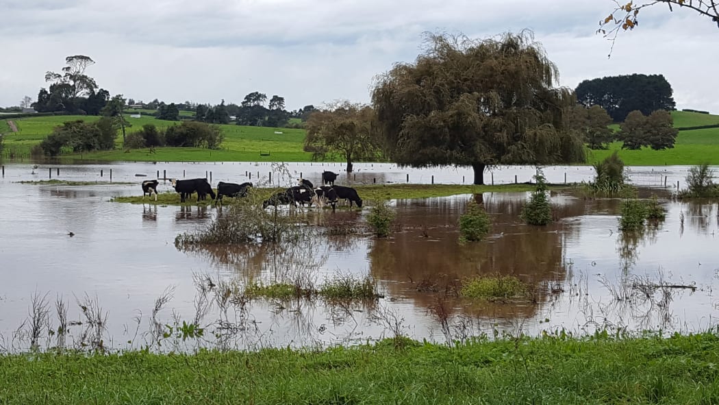 flooded farm