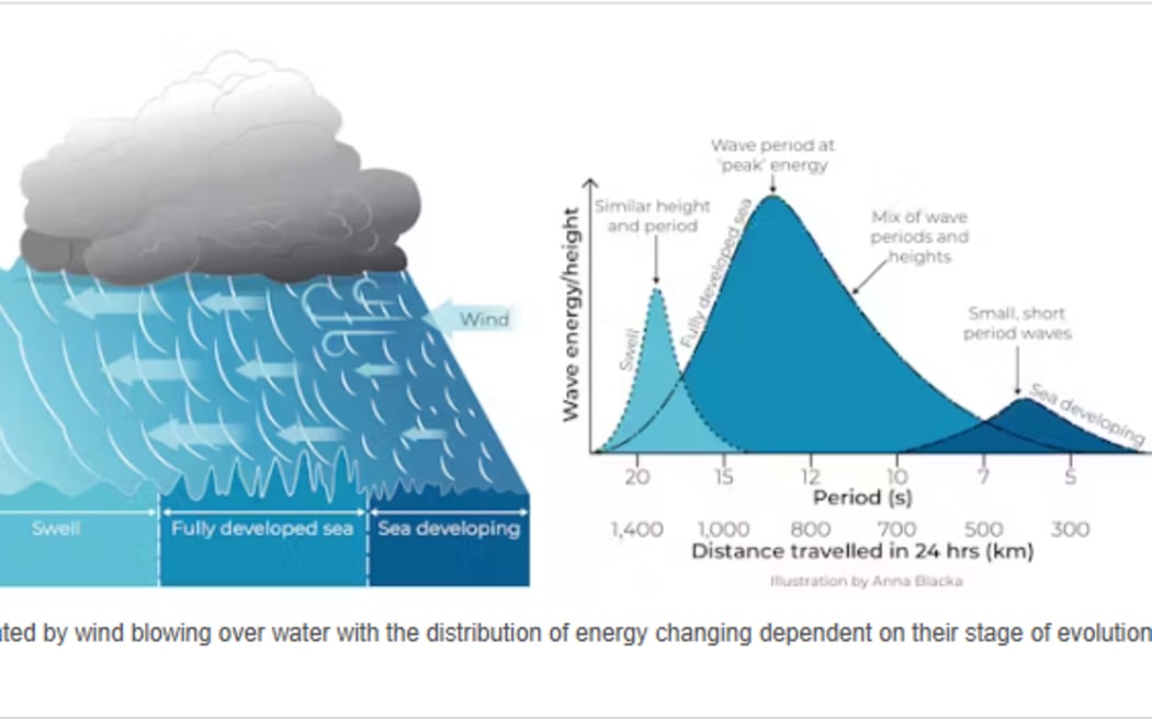 Waves are generated by wind blowing over water with the distribution of energy changing dependent on their stage of evolution.