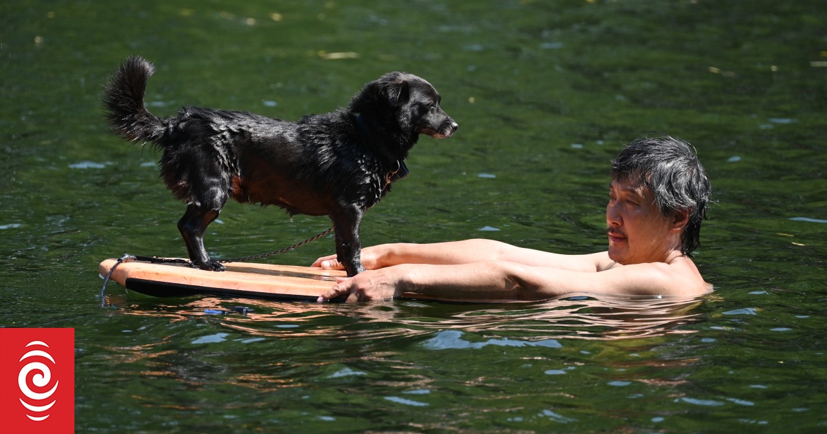 Beijing heatwave China capital records hottest June day in 60 years