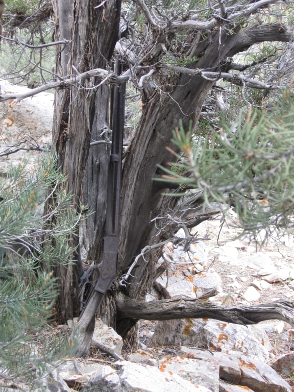The 130-year-old rifle was found leaning against a Juniper tree.