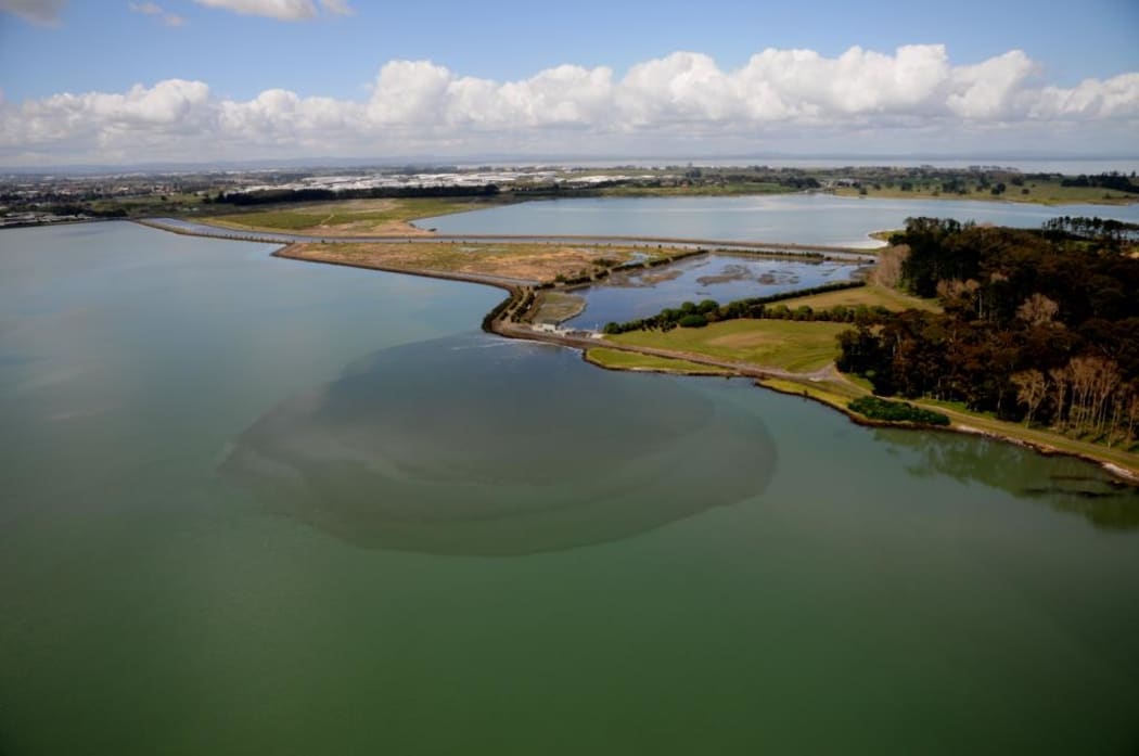 Manukau Harbour discharge