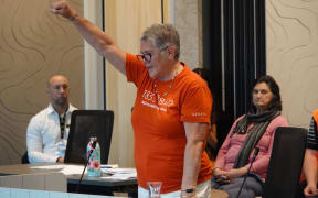 Ngā Hapū o Whangārei representative Delaraine Armstrong speaks during the meeting.