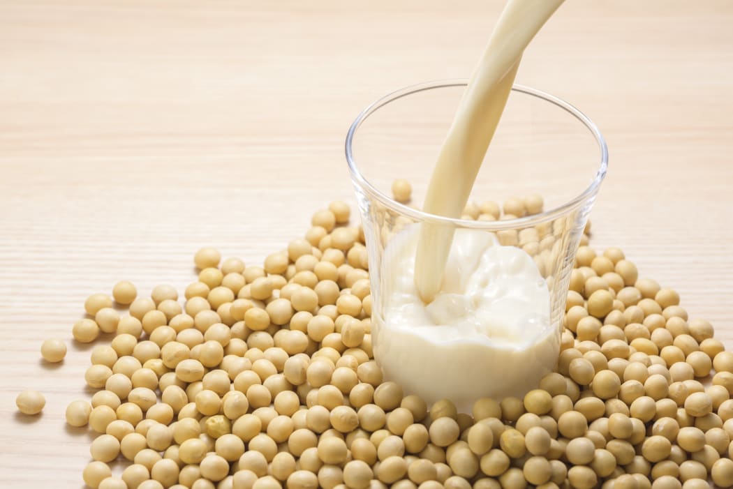 Soy milk is a plant-based drink produced by soybeans.