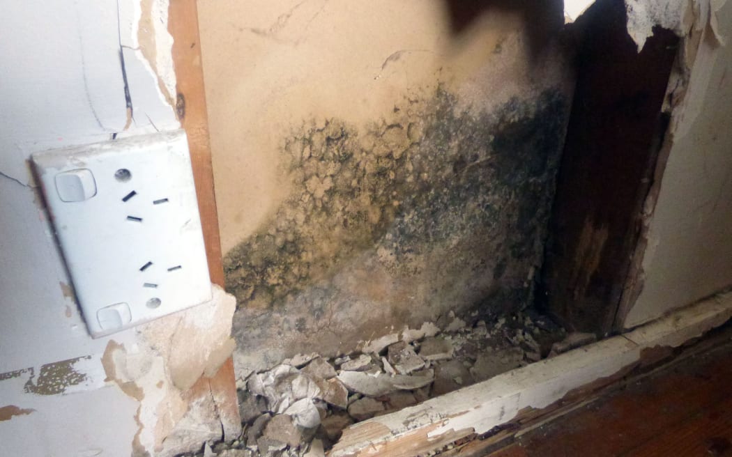 Mould