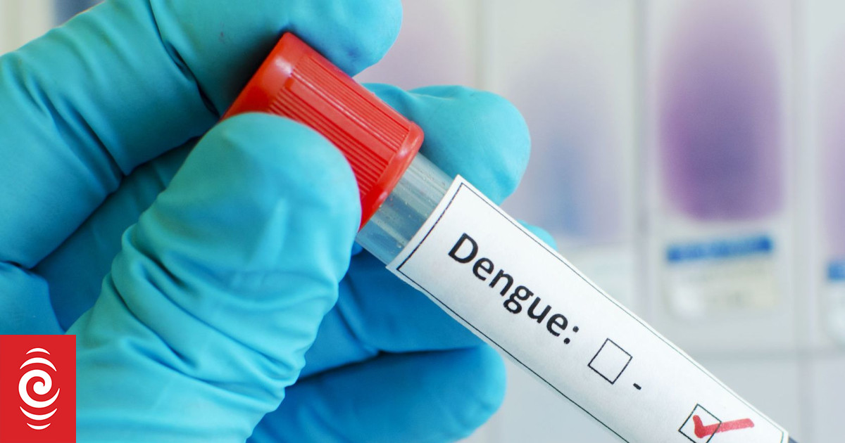 American Samoa declares dengue outbreak