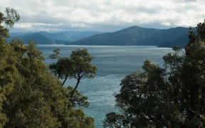 Ture Whenua Māori