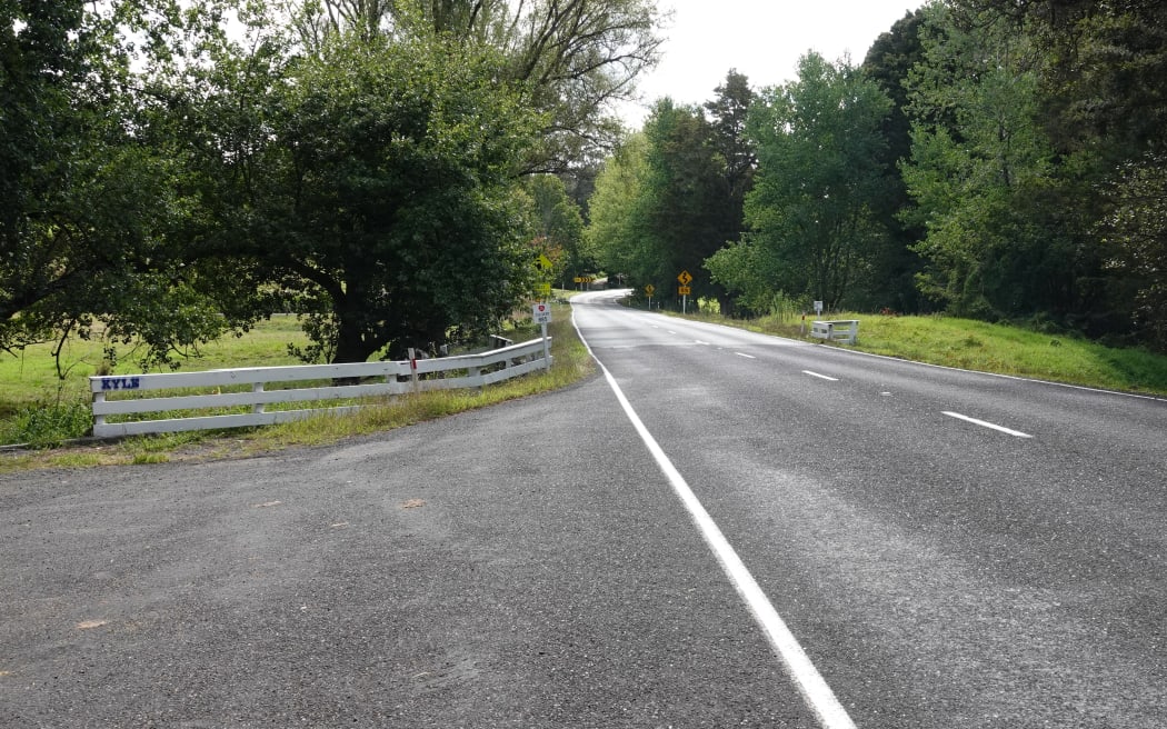 The layby on Otaika Valley Road, Whangārei, where police say 18-year-old Kyle Jenkins was killed on the evening of 28 January 2025.