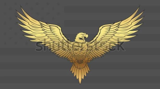 Wellington designer's work used as logo on 'Trump Card' | RNZ