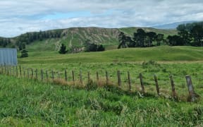 Slips in on hills near the Taihape-Napier Road.