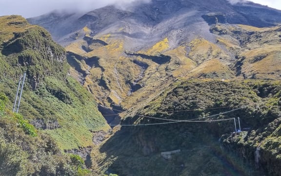 Bridge masts over the Manganui Gorge on Taranaki Maunga.