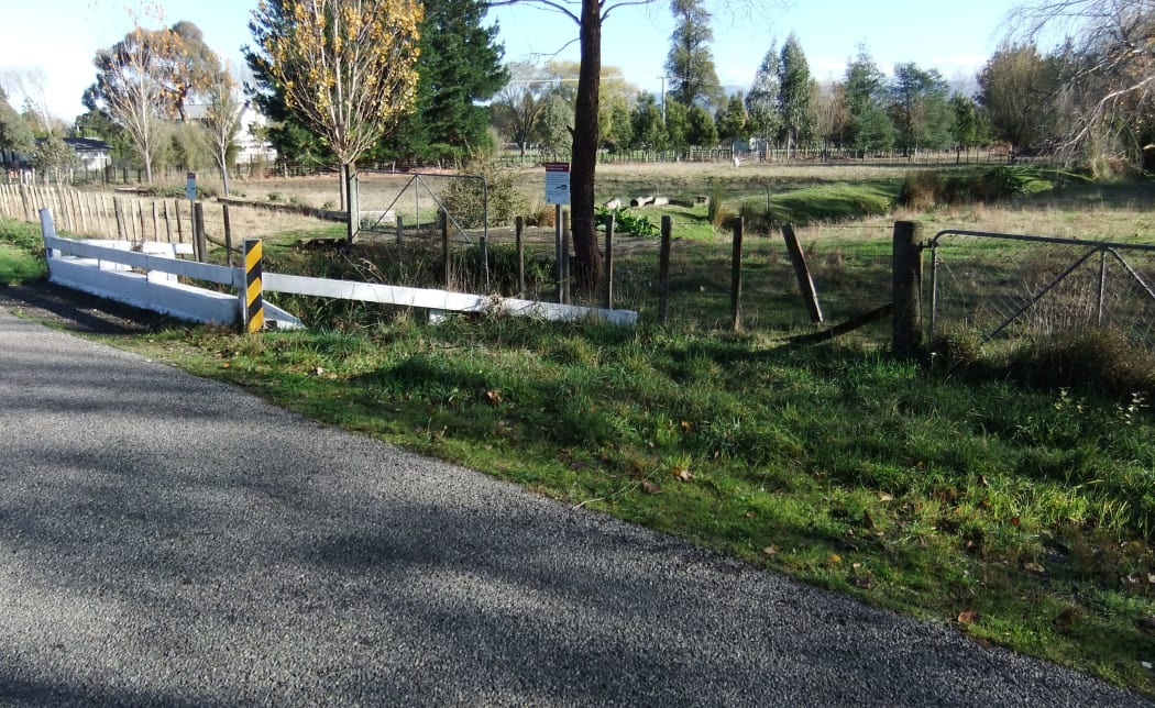 The puppy was found on the side of the road in Masterton.